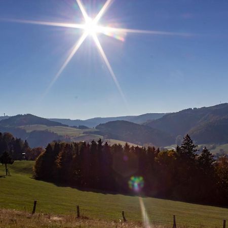 Ferienwohnung Emde Willingen  Exteriér fotografie