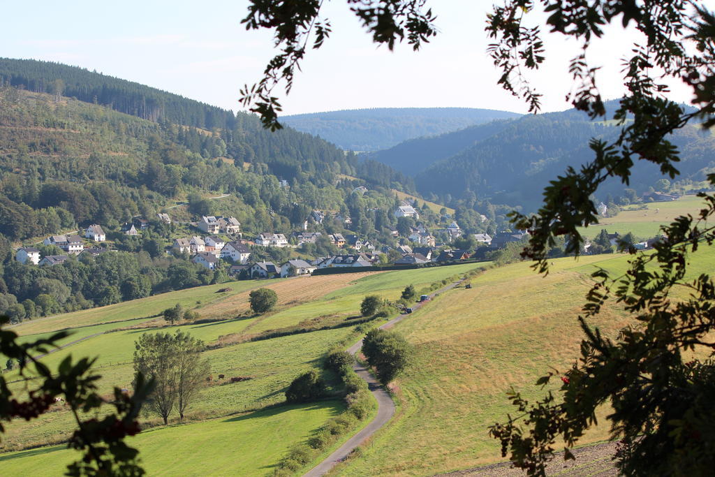 Ferienwohnung Emde Willingen  Exteriér fotografie