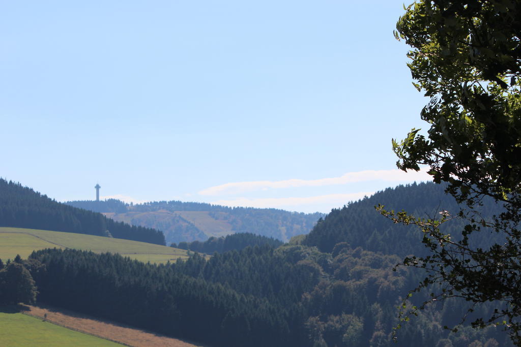 Ferienwohnung Emde Willingen  Exteriér fotografie