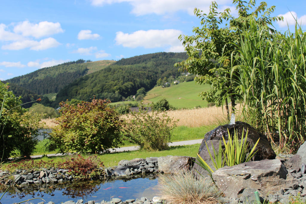 Ferienwohnung Emde Willingen  Exteriér fotografie