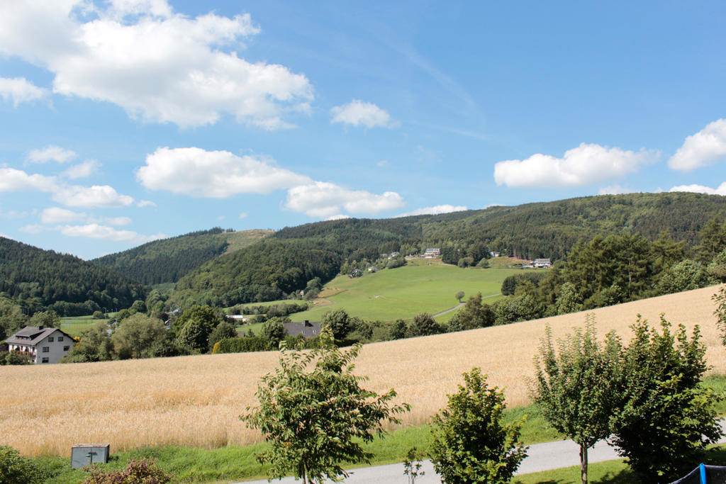 Ferienwohnung Emde Willingen  Exteriér fotografie
