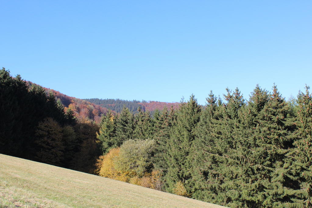 Ferienwohnung Emde Willingen  Exteriér fotografie