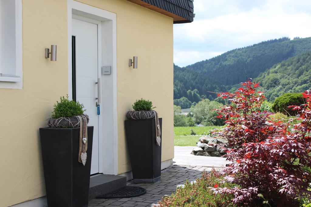 Ferienwohnung Emde Willingen  Exteriér fotografie