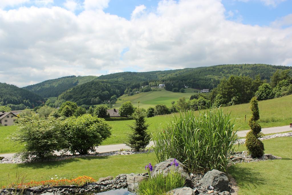 Ferienwohnung Emde Willingen  Exteriér fotografie