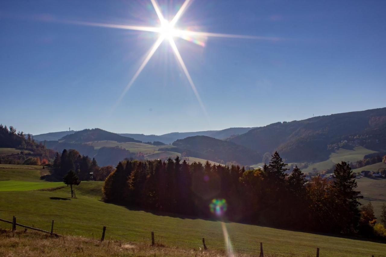 Ferienwohnung Emde Willingen  Exteriér fotografie