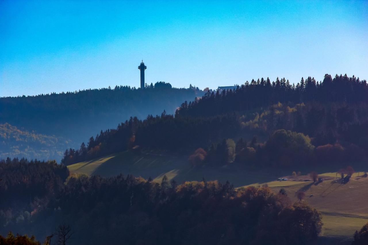 Ferienwohnung Emde Willingen  Exteriér fotografie